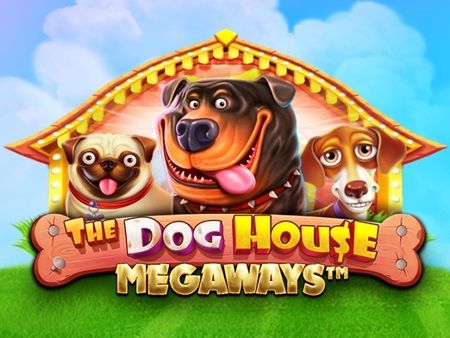 The Dog House Megaways sur Casinozer Casino